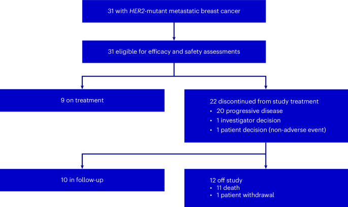 Tucatinib et trastuzumab dans ELLE2-cancer du sein métastatique muté : un essai panier de phase 2