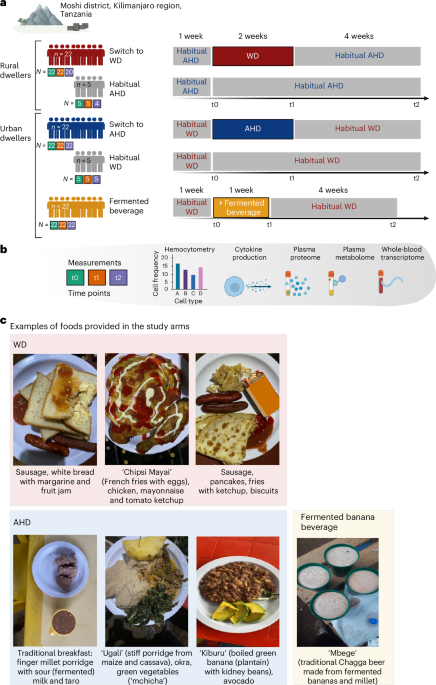 Immune and metabolic effects of African heritage diets versus Western diets in men: a randomized controlled trial Immune and metabolic effects of African heritage diets versus Western diets in men: a randomized controlled trial
