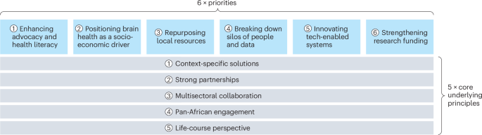 Strengthening Africa’s brain health and economic resilience
