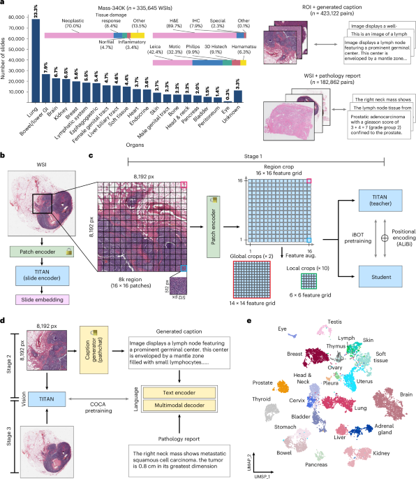 Revolutionizing Pathology: A Multimodal Whole-Slide Foundation Model