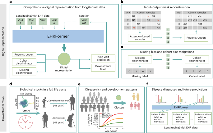 A full life cycle biological clock based on routine clinical data and its impact in health and diseases A full life cycle biological clock based on routine clinical data and its impact in health and diseases