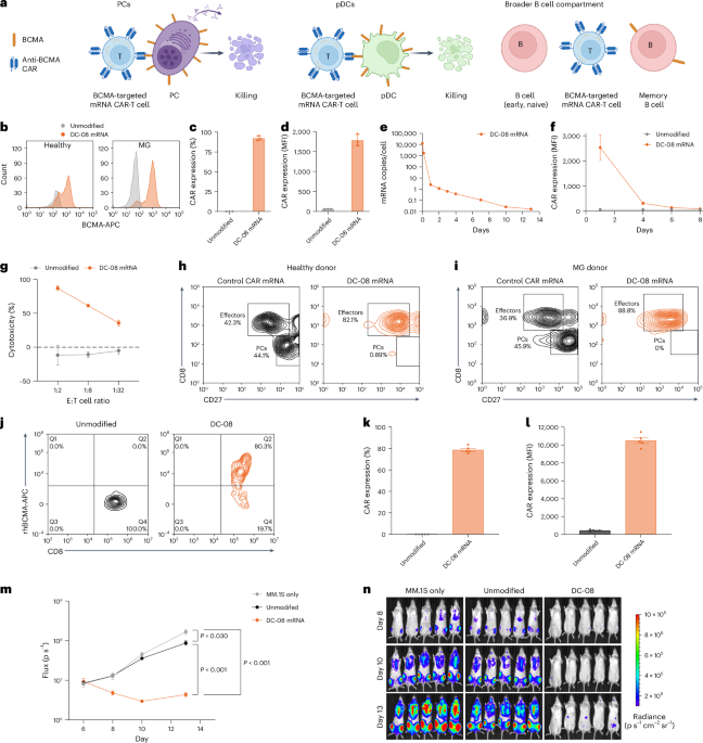 BCMA CAR-T Therapy for Myasthenia Gravis: Biomarker Insights from a Phase 2b Trial BCMA CAR-T Therapy for Myasthenia Gravis: Biomarker Insights from a Phase 2b Trial