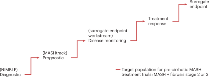 New Surrogate Endpoint for Metabolic Dysfunction-Associated Steatohepatitis (MASH)