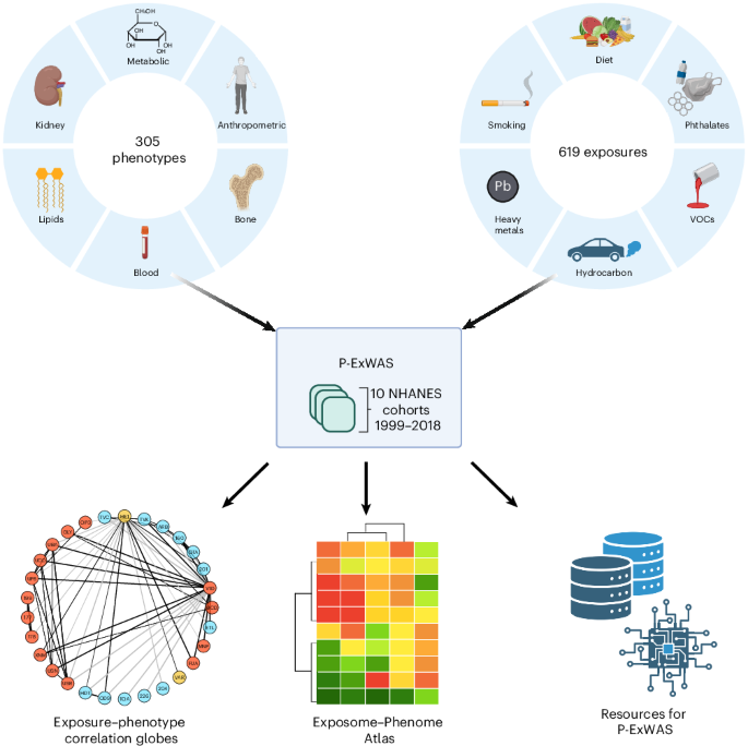 An atlas to navigate environmental factors and health