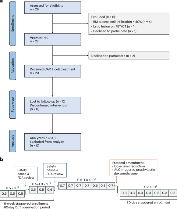 Ciltacabtagene Autoleucel CAR T Therapy for High-Risk Smoldering Multiple Myeloma