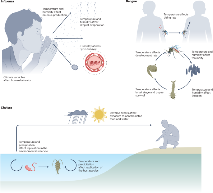 Climate Change Impacts on Pathogen Transmission and Disease Patterns