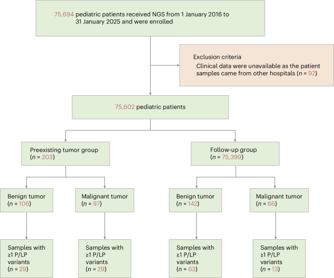 Pathogenic Germline Variants and Childhood Cancer: Insights From 75,602 Children