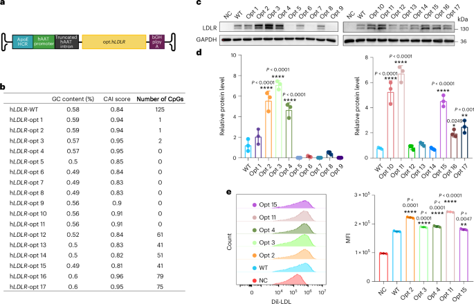 Advances in Familial Hypercholesterolemia Treatment and Gene Therapy