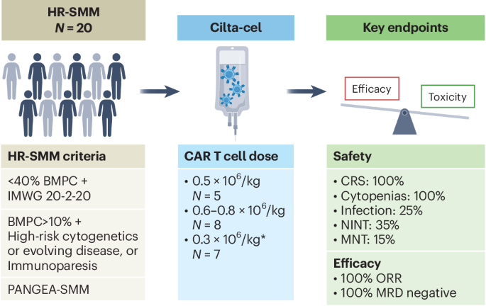 CAR T Cell Therapy in Smoldering Myeloma: Balancing Efficacy and Toxicity