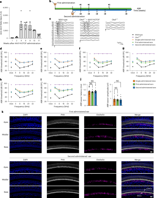 Re-administration of AAV-mediated gene therapy for OTOF-related deafness: a single-arm trial