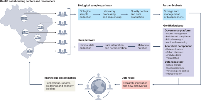Genomas Brasil program: building precision public health within Brazil’s Unified Health System - Nature Medicine