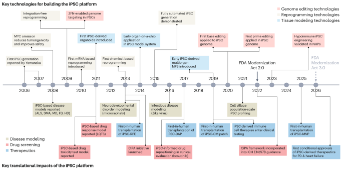 From Discovery to Translation: The Evolution of iPSC Therapies - News Directory 3