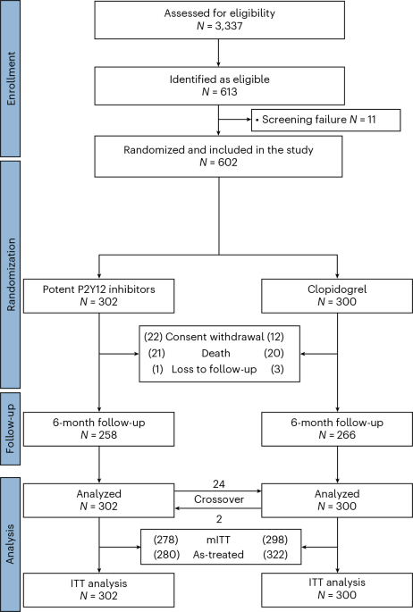 Potent P2Y12 Inhibitors Increase Bleeding Risk in AF and ACS Patients - News Directory 3