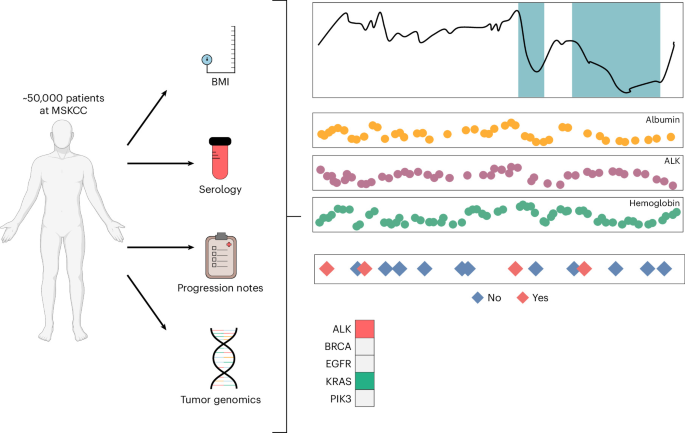 Population-Scale Identification of Cancer Cachexia and Weight Loss Trajectories