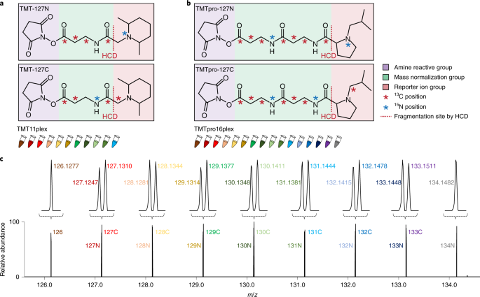 TMTpro reagents: a set of isobaric labeling mass tags enables simultaneous  proteome-wide measurements across 16 samples | Nature Methods