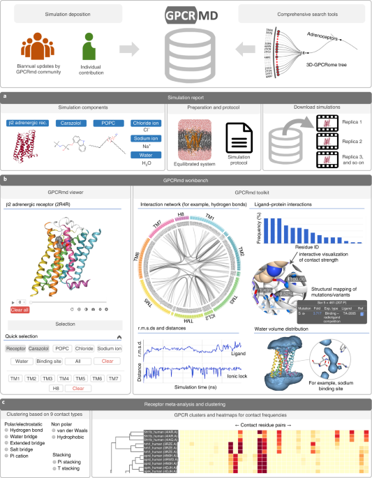 GPCRmd uncovers the dynamics of the 3D-GPCRome