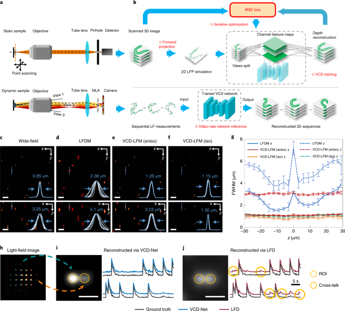 Real Time Volumetric Reconstruction Of Biological Dynamics With Light Field Microscopy And Deep Learning Nature Methods