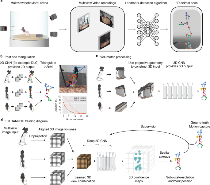 Geometric Deep Learning Enables 3d Kinematic Profiling Across Species And Environments Nature Methods