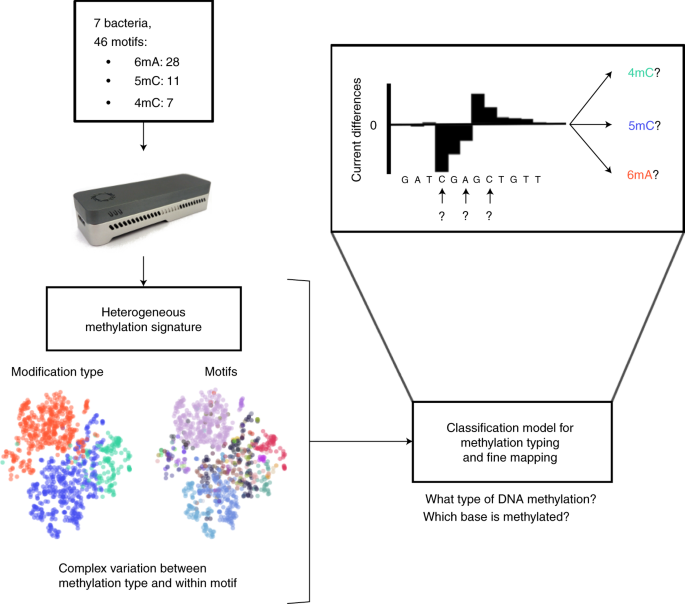 microbiome using nanopore sequencing