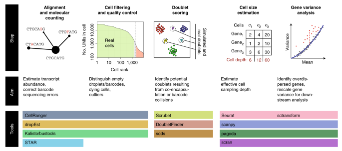 The triumphs and limitations of computational methods for scRNA 