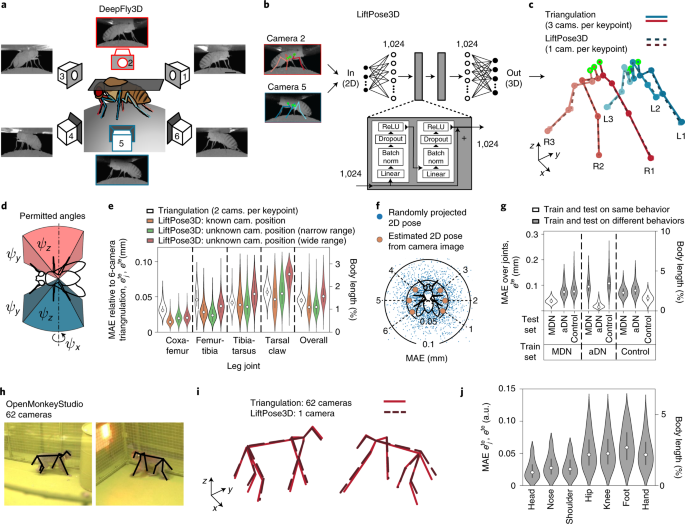 Three-dimensional unsupervised probabilistic pose reconstruction (3D-UPPER)  for freely moving animals