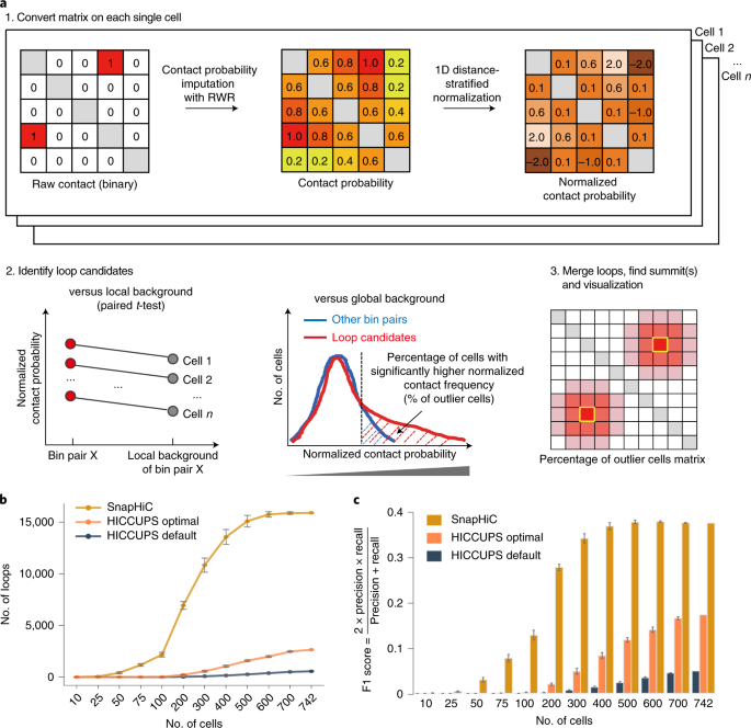 SnapHiC: a computational pipeline to identify chromatin loops from  single-cell Hi-C data | Nature Methods