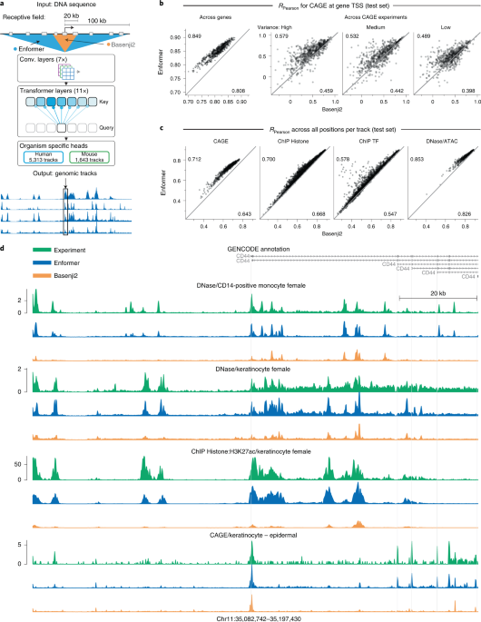 Effective gene expression prediction from sequence by integrating long-range interactions - Nature Methods