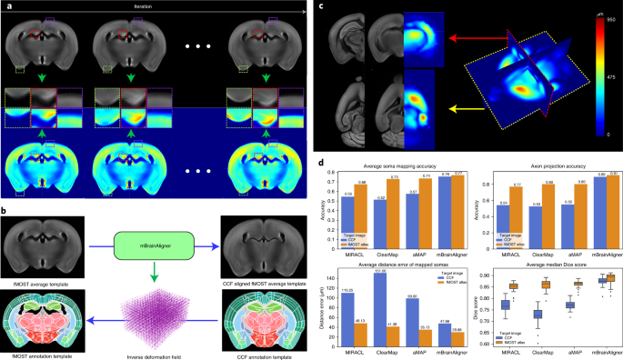 DeepSlice: rapid fully automatic registration of mouse brain imaging to a  volumetric atlas