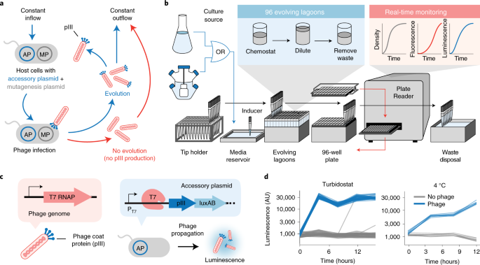 Systematic molecular evolution enables robust biomolecule ...