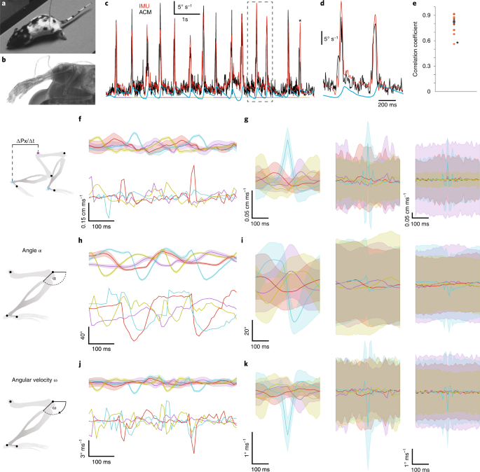 Continuous Whole-Body 3D Kinematic Recordings across the Rodent Behavioral  Repertoire - ScienceDirect