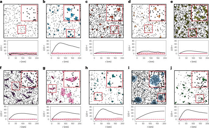 A framework for evaluating the performance of SMLM cluster 