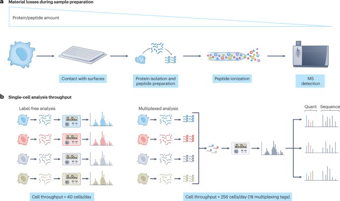 Single-Cell Proteomics with Spatial Attributes: Tools and Techniques