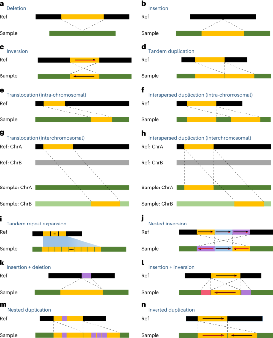 A survey of algorithms for the detection of genomic structural 
