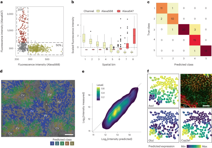 Single-Cell Proteomics with Spatial Attributes: Tools and Techniques