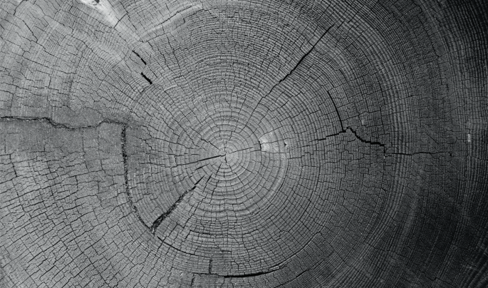 Aging research comes of age | Nature Methods
