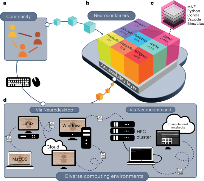 Neurodesk: an accessible, flexible and portable data analysis 