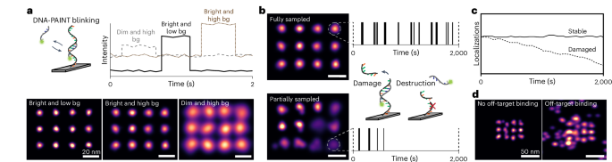 a comprehensive performance analysis of fluorescent dyes - Nature