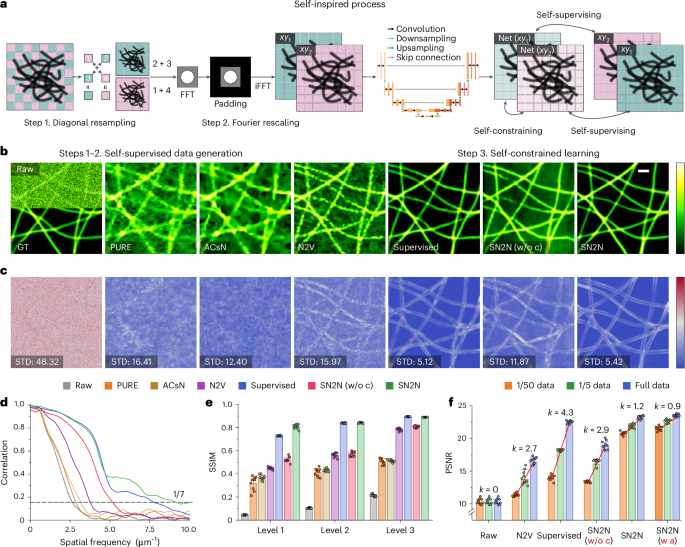 SN2N paper preview