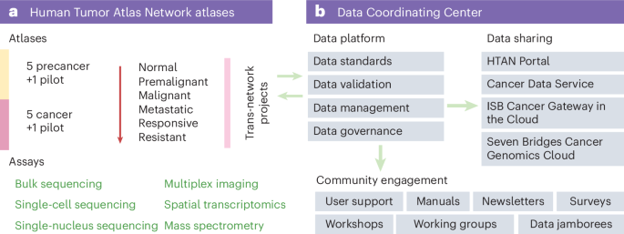 Sharing data from the Human Tumor Atlas Network through standards, infrastructure and community engagement Sharing data from the Human Tumor Atlas Network through standards, infrastructure and community engagement