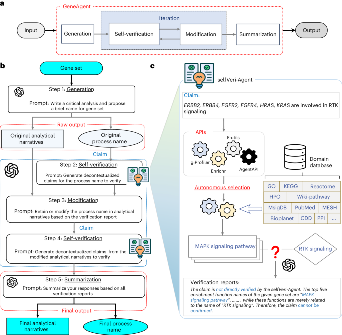 GeneAgent: self-verification language agent for gene-set