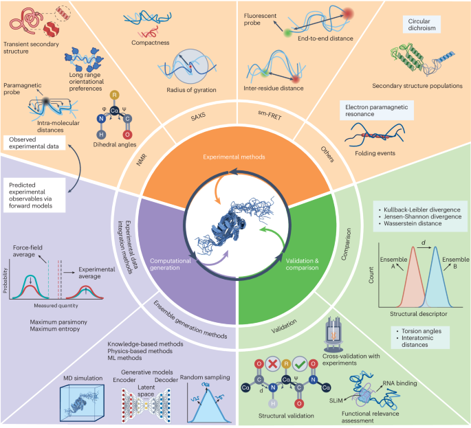 Toward a unified framework for determining conformational ensembles of disordered proteins