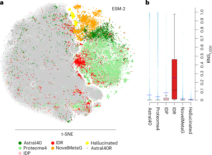 Assessing uncertainty of sequence representations generated by protein language models