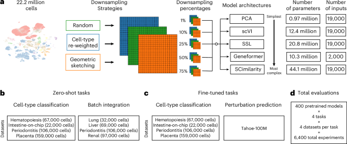 Evaluating the role of pretraining dataset size and diversity on single-cell foundation model performance — GLOBAL — Aslikannih