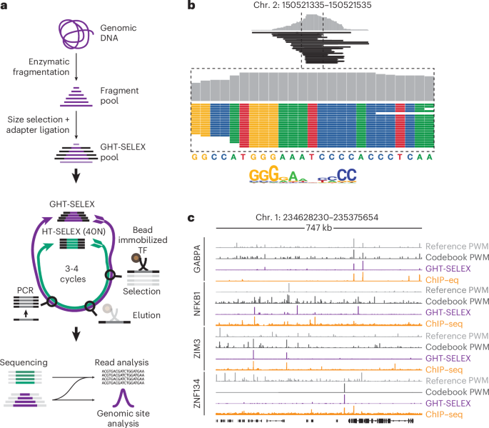 kb glutathione results GHT-SELEX demonstrates unexpectedly high intrinsic sequence specificity and complex DNA binding of many human transcription factors Liposomal Glutathione GSH Liquid