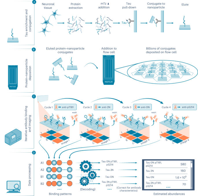 Large-scale single-molecule analysis of tau proteoforms