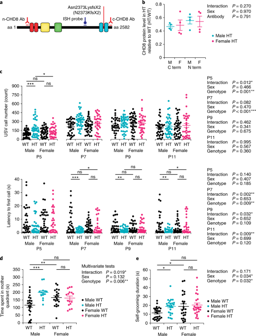 Sexually Dimorphic Behavior Neuronal Activity And Gene Expression In Chd8 Mutant Mice Nature Neuroscience Sexually Dimorphic Behavior Neuronal Activity And Gene Expression In Chd8 Mutant Mice Nature Neuroscience
