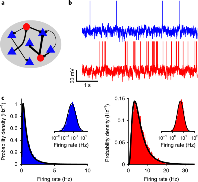 Inhibitory Connectivity Defines The Realm Of Excitatory Plasticity Nature Neuroscience