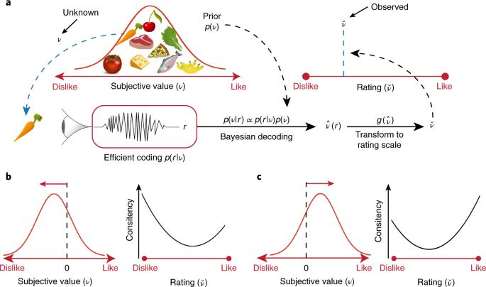 Efficient Coding Of Subjective Value Nature Neuroscience Efficient Coding Of Subjective Value Nature Neuroscience