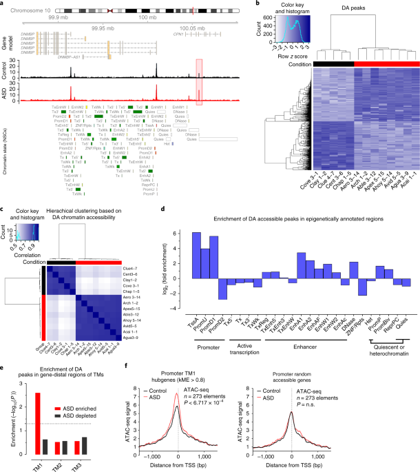 Nih Awards Nearly 100 Million For Autism Centers Of Excellence >> Pathological Priming Causes Developmental Gene Network Nih Awards Nearly 100 Million For Autism Centers Of Excellence >> Pathological Priming Causes Developmental Gene Network