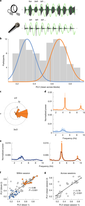 Spontaneous Synchronization To Speech Reveals Neural Mechanisms Facilitating Language Learning Nature Neuroscience